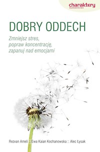 Dobry oddech - Ameli Rezav, Kain-Kochanowska Ewa, Łyska Alec - książka