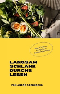 Langsam schlank durchs Leben - Andre Sternberg - ebook