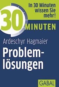 30 Minuten Problemlösungen - Ardeschyr Hagmaier - ebook
