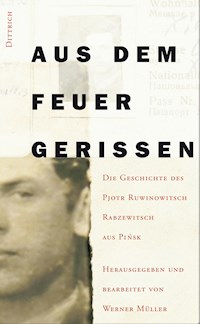 Aus dem Feuer gerissen - Werner Müller - ebook