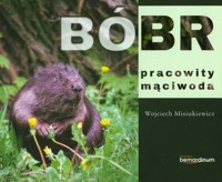 Bóbr pracowity mąciwoda - Wojciech Misiukiewicz - książka