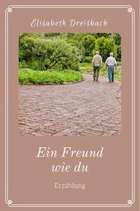 Ein Freund wie du - Elisabeth Dreisbach - ebook