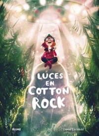 Luces en Cotton Rock - Litchfield David - ebook