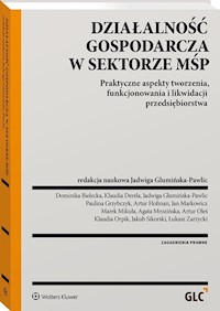 Działalność gospodarcza w sektorze MŚP - Glumińska-Pawlic Jadwiga - książka
