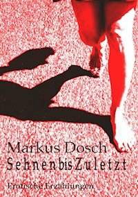 S e h n e n  bis Z u l e t z t - Markus Dosch - ebook