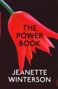 The Powerbook - Jeanette Winterson - książka