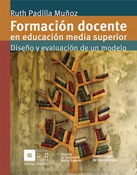 Formación docente en educación media superior - Ruth Padilla Muñoz - ebook