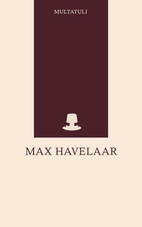 Max Havelaar - Multatuli - ebook
