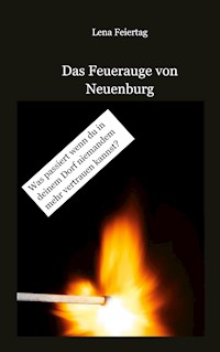 Das Feuerauge von Neuenburg - Lena Feiertag - ebook