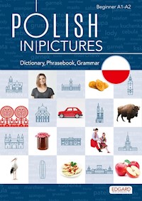 Polish in pictures/Polski w obrazkach Słówka, rozmówki, gramatyka - Wasilewski Paweł - książka