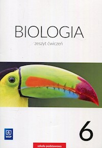 Biologia 6 Ćwiczenia - Jastrzębska Ewa, Kłos Ewa, Kofta Wawrzyniec - książka