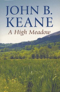 A High Meadow - John B. Keane  - ebook