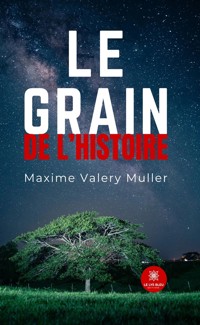 Le grain de l’histoire - Maxime Valery Muller - ebook