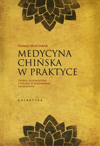 Medycyna chińska w praktyce. Teoria, diagnostyka i terapia w zachodnim rozumieniu - Hamid D. Montakab - książka