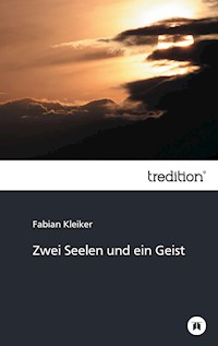 Zwei Seelen und ein Geist - Fabian Kleiker - ebook