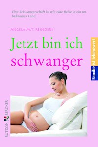 Jetzt bin ich schwanger - Angela M. T. Reinders - ebook