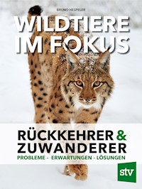 Wildtiere im Fokus - Bruno Hespeler - ebook