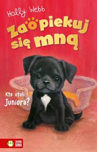 Zaopiekuj się mną. Kto utuli Juniora? - Holly Webb - audiobook + książka
