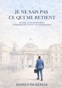Je ne sais pas ce qui me retient - Damien Pichereau - ebook