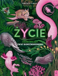Życie - Smith Jennifer N.R. - książka