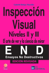 Inspección visual. Niveles II y III - Gabriel Del Ojo Morcillo - ebook