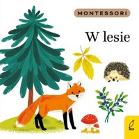 Montessori W lesie - Kunicka-Porwisz Marzena - książka