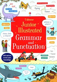 Junior Illustrated Grammar and Punctuation - Bingham Jane - książka