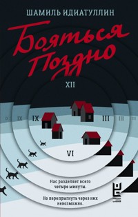 Бояться поздно - Шамиль Идиатуллин - ebook