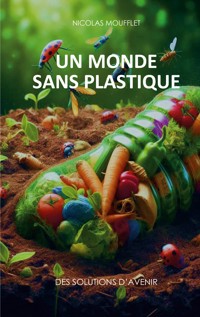 Un monde sans plastique - Nicolas Moufflet - ebook