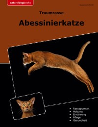Traumrasse Abessinierkatze - Susanne Schmitt - ebook