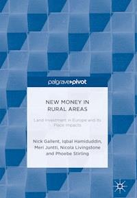New Money in Rural Areas - Nick Gallent - ebook