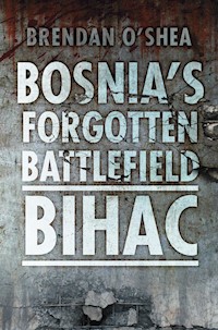 Bosnia's Forgotten Battlefield: Bihac - Brendan O'Shea - ebook