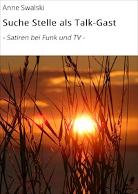 Suche Stelle als Talk-Gast - Anne Swalski - ebook