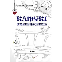 Kamyki przeznaczenia - Joanna Baran - książka