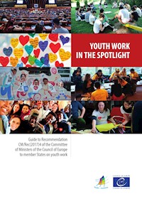 Youth work in the spotlight - Nik Paddison - ebook