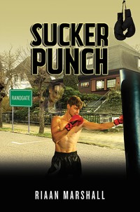Sucker Punch - Riaan Marshall - ebook