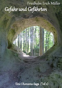 Gefahr und Gefährten - Friedhelm Erich Müller - ebook