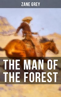THE MAN OF THE FOREST - Grey Zane - ebook