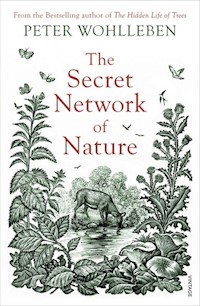 The Secret Network of Nature - Peter Wohlleben - książka