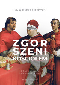 Zgorszeni Kościołem. O kryzysie, nadziei i wierności Ewangelii - Bartosz Rajewski - książka