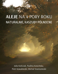 Aleje na 4 pory roku. Naturalnie, Kaszuby Północne - Julia Kończak, Paulina Kościńska, Piotr Kowalewski, Michał Staniszewski - audiobook