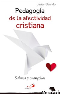 Pedagogía de la afectividad cristiana - Javier Garrido Goitia - ebook