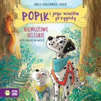 Popik i jego wielkie przygody. Niemożliwe historie - Aniela Cholewińska-Szkolik - audiobook