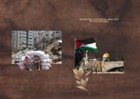 Palestine: A Historical Analysis of the Struggle - Adebowale Adetayo - ebook
