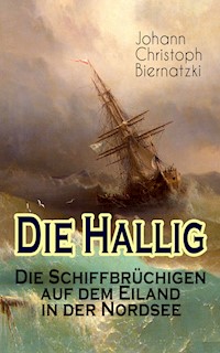 Die Hallig - Die Schiffbrüchigen auf dem Eiland in der Nordsee - Johann Christoph Biernatzki - ebook