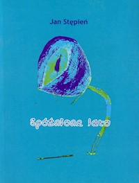 Spóźnione lato - Stępień Jan - książka