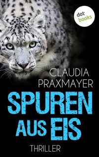 Spuren aus Eis - Claudia Praxmayer - ebook