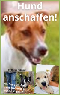Hund anschaffen! - Karina Bernd - ebook