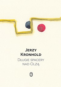 Długie spacery nad Olzą - Jerzy Kronhold - ebook + książka