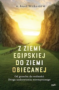 Z ziemi egipskiej do ziemi obiecanej - Witko Józef - książka